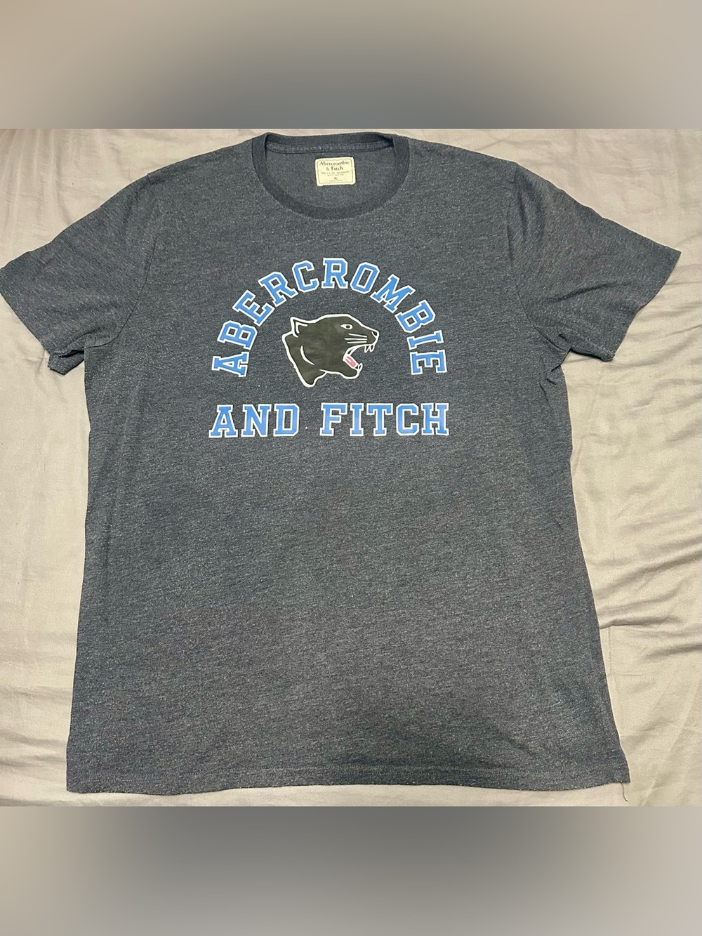Vintage Abercrombie & Fitch Men's Gray Graphic Logo Tee Size XL